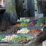 Smiling greengrocer