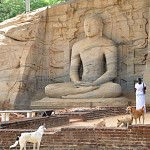 Statue du Bouddha, non localisée. לנוכח פסל בודהה